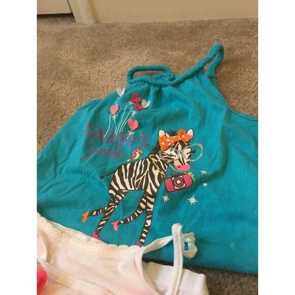 Clothing Lot of 15 Pieces Toddler Girls Mixed Items Summer & Spring Size 4T - Picture 2 of 12